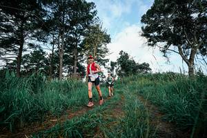 BIB: 
                            <button type="button" onclick="openModal(26009541)" class="btn btn-primary btn-sm float-right btn-popup" data-toggle="modal" data-target=".modal-high-quality">
                        <i class="fas fa-shopping-cart"></i> Add to Cart
                    </button>
                                            <button type="button" onclick="isThisMe(26009541, true)" class="btn btn-success btn-sm float-right btn-popup btn-isme hidden" data-toggle="tooltip" data-placement="bottom" title="นี่คือรูปของคุณใช่ไหม คลิกที่นี่เพื่อเอาเข้าอัลบั้ม">
                        <i class="fas fa-plus"></i> Add to album
                    </button>
                    <button type="button" onclick="isThisMe(26009541, false)" class="btn btn-warning btn-sm float-right btn-popup btn-isnotme hidden">
                        <i class="fas fa-ban"></i> Remove from album
                    </button>